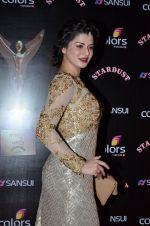 Kainaat Arora at Sansui Stardust Awards red carpet in Mumbai on 14th Dec 2014